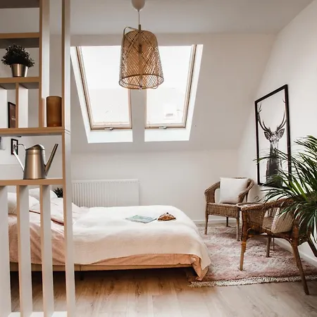 Apartment V10 B Pécs